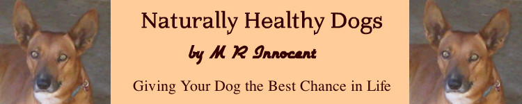 Image of ebook Naturally Healthy Dogs header