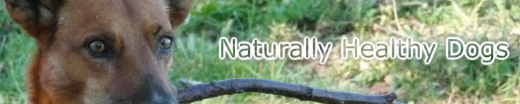 Image of Naturally Healthy Cats